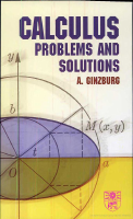 Calculus Problems and Solutions.pdf